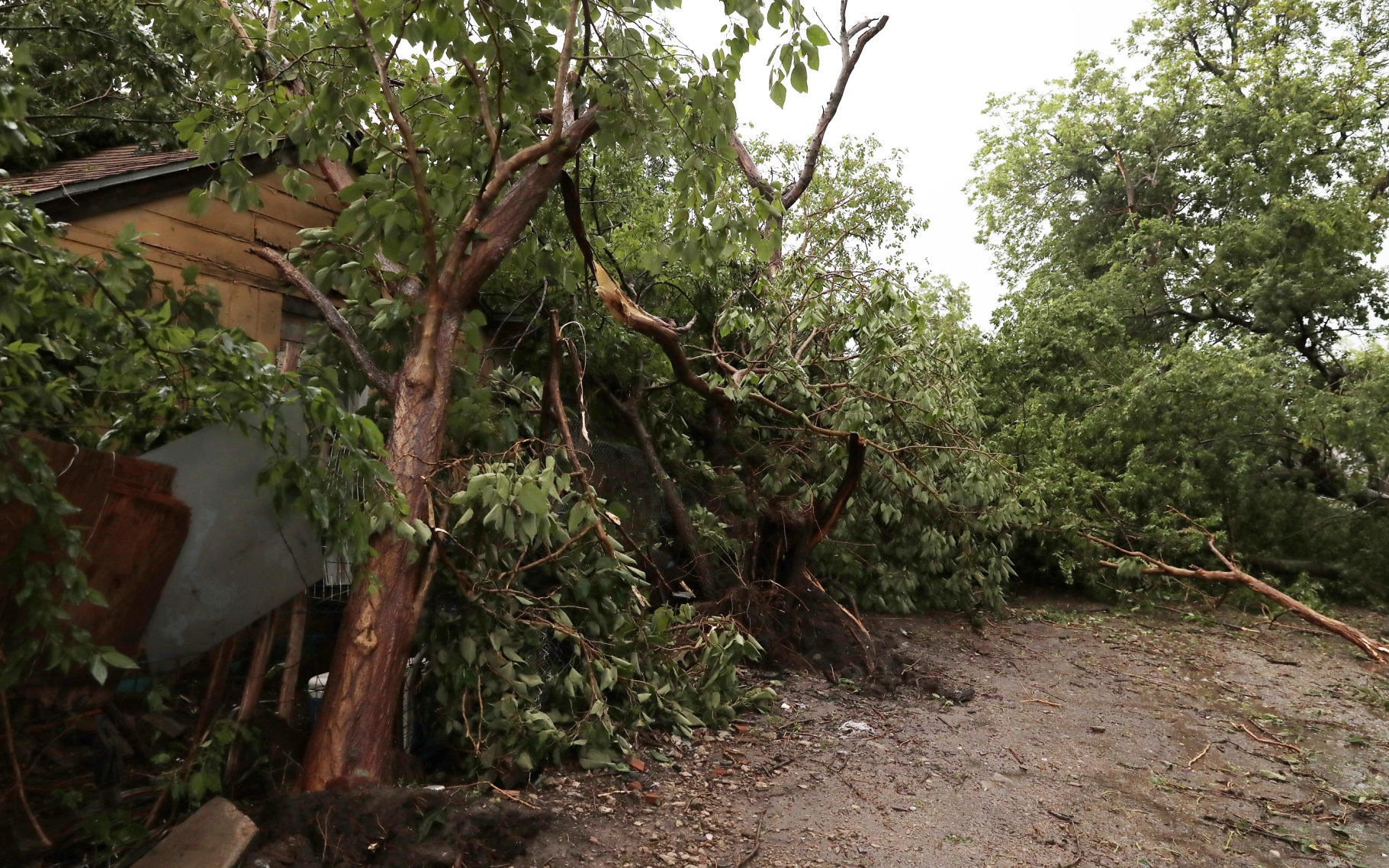 Storm Damage